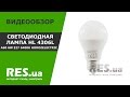 Светодиодная лампа HL4306L HorozElectric