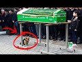 Un perro fue al funeral de su dueño. Lo que pasó más tarde ¡sorprendió a todos!