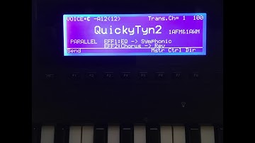 QuickyTyn2