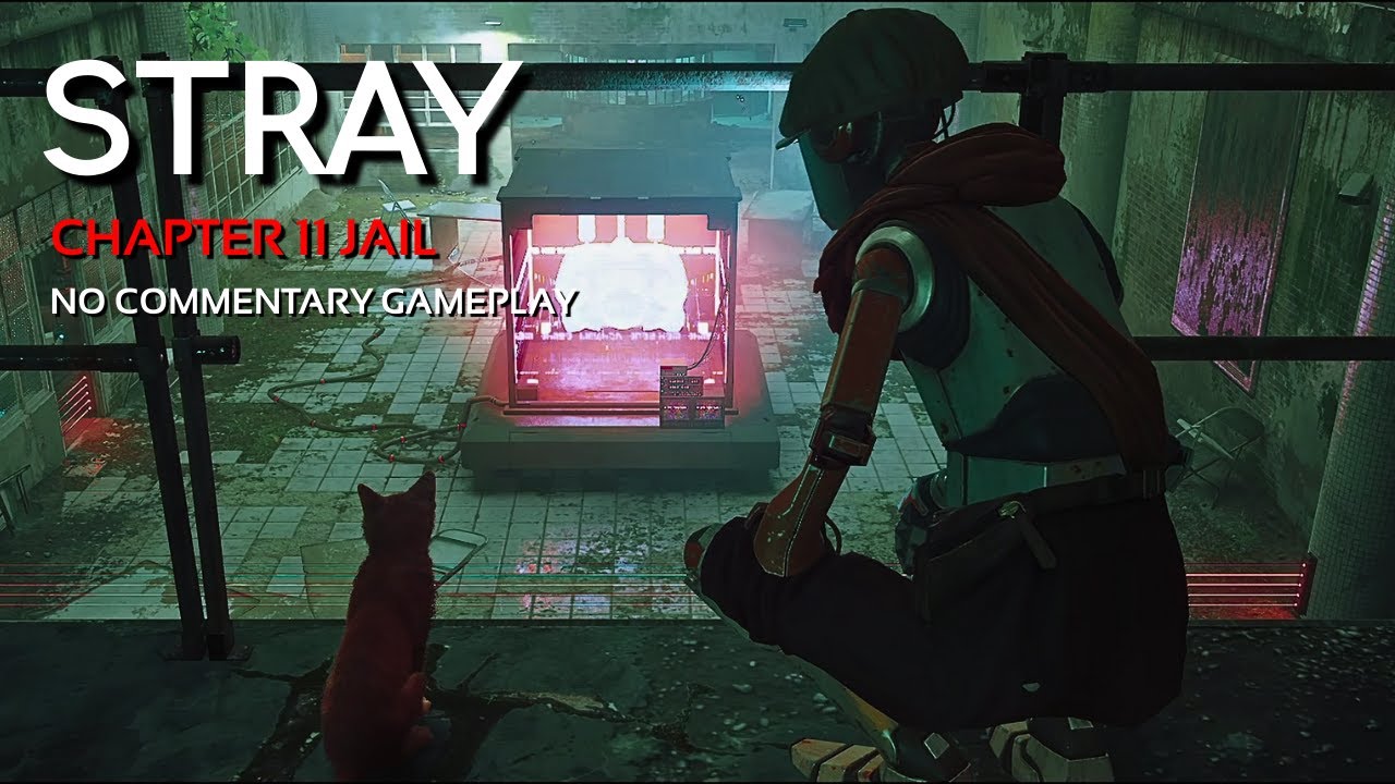 STRAY | CHAPTER 11 JAIL | NO COMMENTARY GAMEPLAY | 2K60FPS