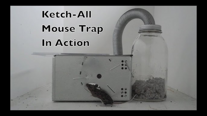 Kness Tip-Trap Live Mouse Trap 109-0-002-2Pk