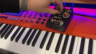 Mastro Valvola LEM - Lysergic Emotions Module - reverse delay