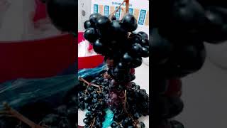 Antalya Elmalı İlçesi, Müğren Üzümütilki Kuyruğu, Likyalılardan Beri Meşhurmuşendemik Bir Tür