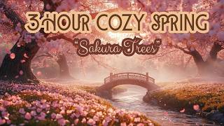 Spring morning in a quiet sakura garden 🌸 soft happy lofi for relaxing & studying screenshot 5