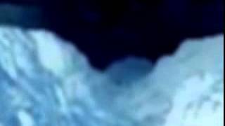 Projective Vision--Equilibrium