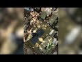IDF locates weapons near the village of Majdal Zoun in Lebanon