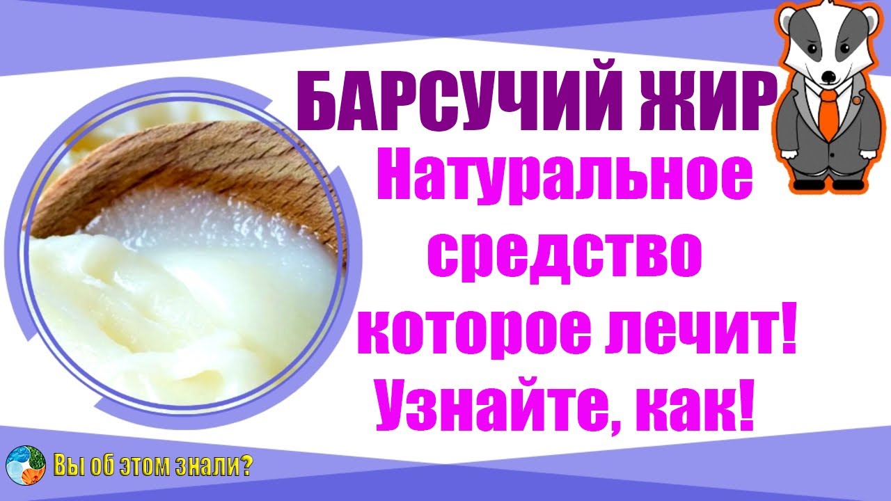 Барсучий жир: Натуральное средство, которое лечит! Узнайте, как!