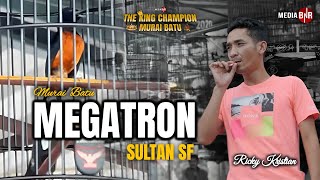 MB MUDA MEGATRON TERBAIK DI KELAS UTAMA GOLDEN ARENA BANDUNG || RICKY KRISTIAN - SULTAN SF BANDUNG