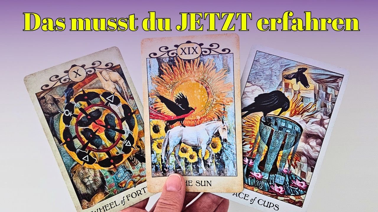 Das musst Du jetzt erfahren 😯 Schicksal nimmt es in die Hand | Vorherbestimmtes Zusammentreffen