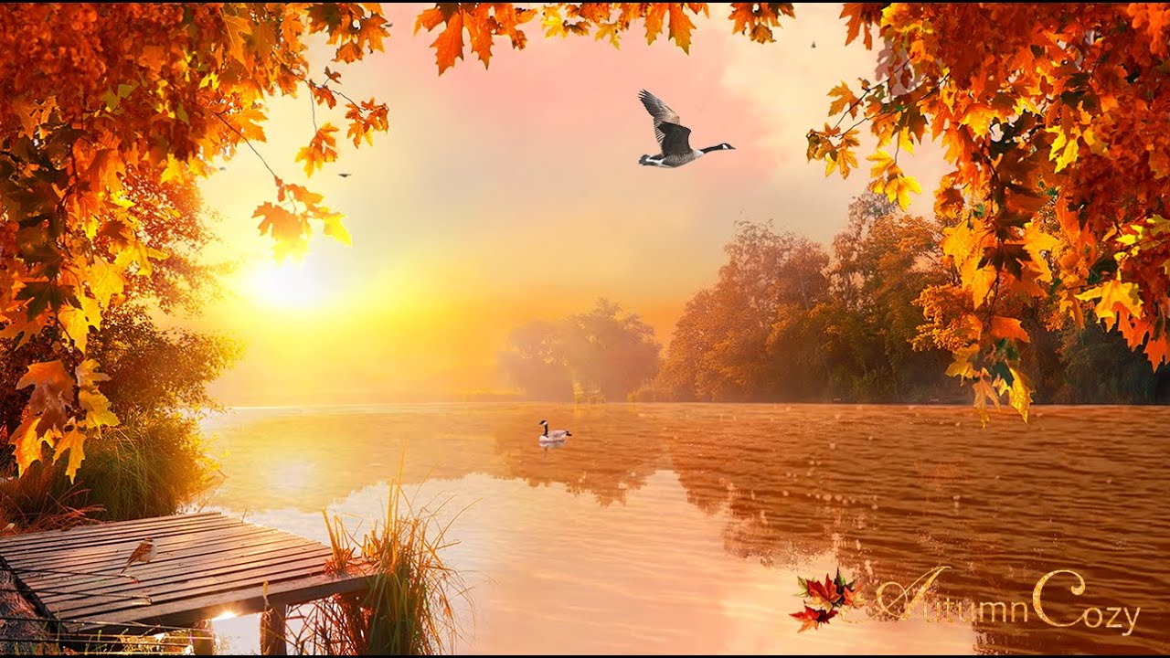🍂☀️AUTUMN MORNING LAKE AMBIENCE: Lapping Water, Birds, Creaking, Raking
