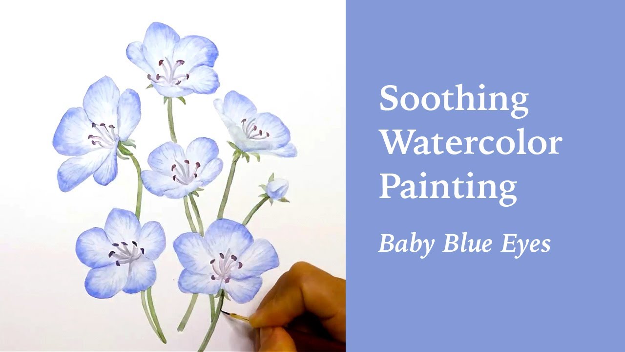 Soothing Watercolor Painting Baby Blue Eyes YouTube