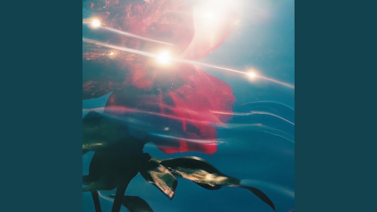 Guarda dazzle su YouTube Guarda dazzle su YouTube