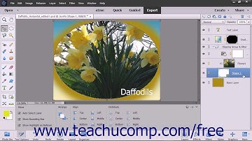 Photoshop Elements 15 Tutorial Merging Layers and Deleting Layers Adobe Training