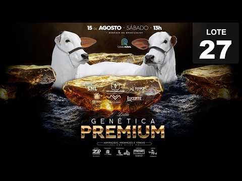 LOTE 27