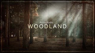 Woodland - Relaxing Music with Woodland Ambience, Bird Tweets, Wind, Forest - Arctic Audio