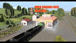 Duck Crashes into Taco Bell