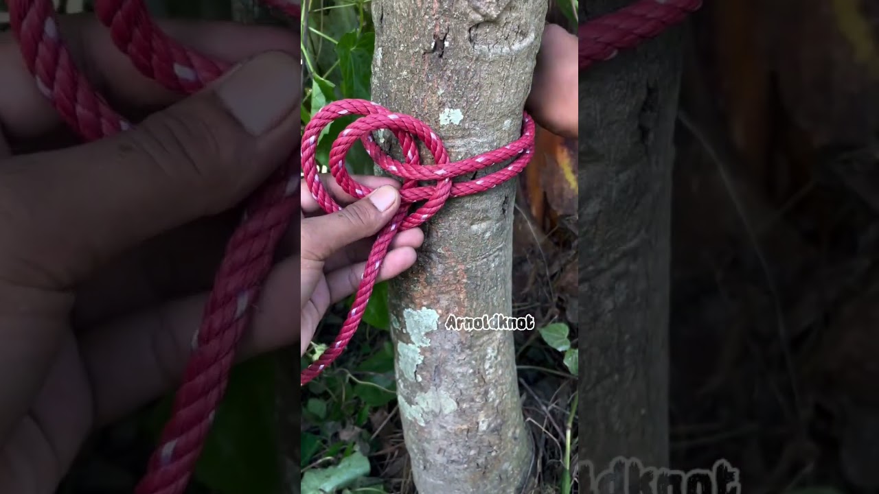 locked round turn tree knot