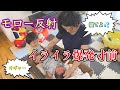 ママ寝れない!ついに始まった生後1ヶ月からのモロー反射「パパが対策」【Morrow reflex from 1 month of age】