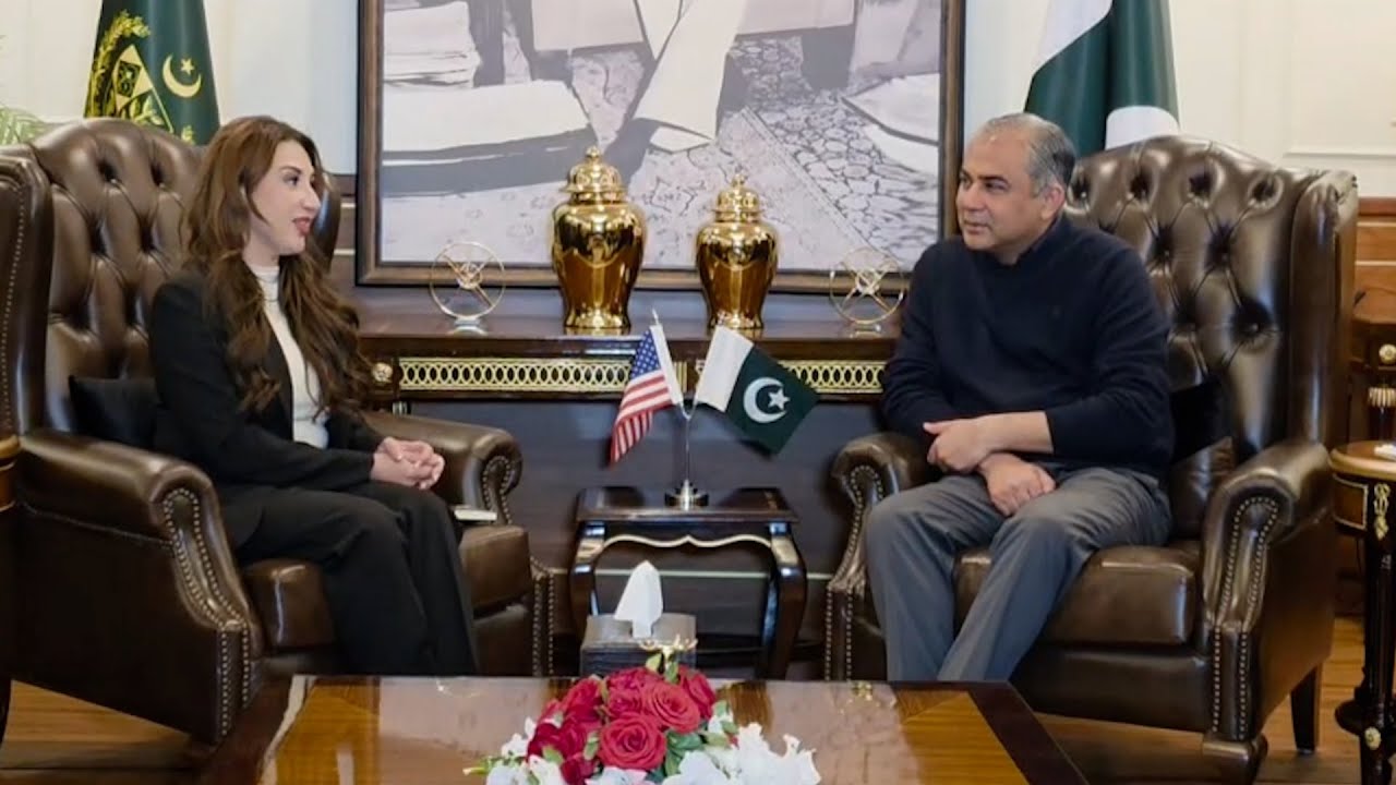 Govt measures cut illegal immigration by 47pc: Mohsin