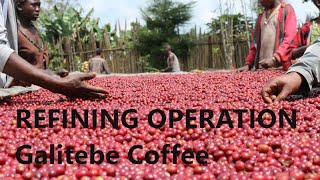 REFINING OPERATION -Galitebe Coffee 精製工程-