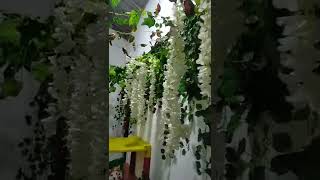 Download Lagu mrinding tiba² mdgr suara anak kcil ini bkan suara kucingku.apa lagi anak tetangga ga da anak kecil. MP3