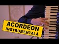 ACORDEON MUZICA INSTRUMENTALA