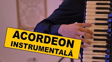 🍷🎹🎹🎹 ACORDEON MUZICA INSTRUMENTALA #acordeon #instrumentala #lautareasca