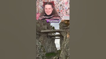 The Sound Made the Kitty Cry