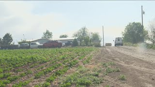 Crews respond to multiple fires throughout southwest Idaho
