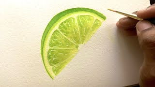 How To Paint Realistic Lime| Step By Step Watercolor Tutorial For Beginners | Realistic Watercolors