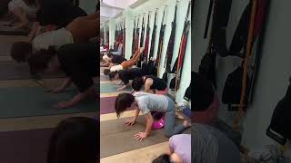 요가 휠 연습 견인 척추와 스트레칭 योग व्हील अभ्यास कर्षण रीढ़ और ヨガの輪は脊椎の牽引とストレッチ#yoga#stretch#sports
