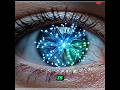 AI Can’t Copy This Nightly Brain Upgrade (3D)