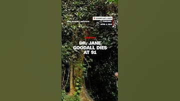 Dr. Jane Goodall dies at 91