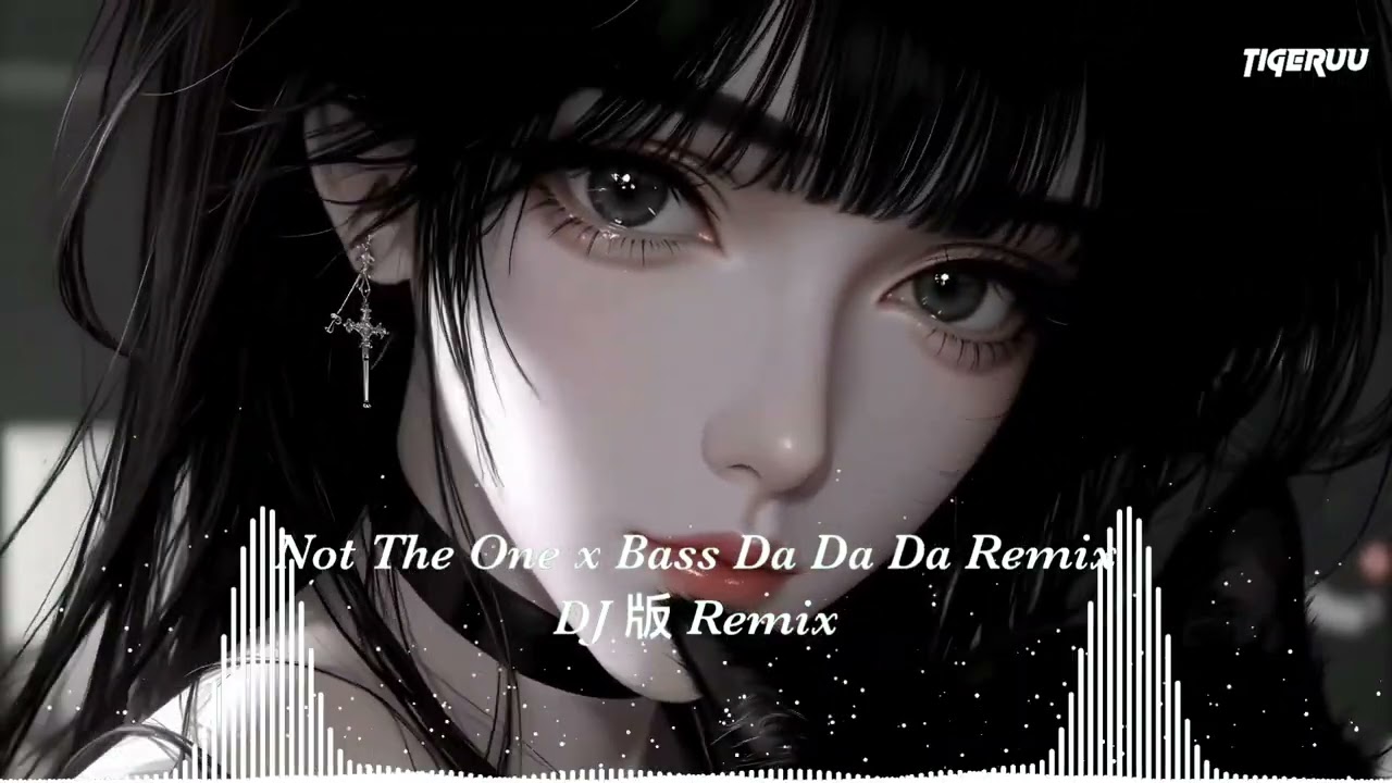 Not The One x Bass Da Da Da (Remix TikTok 2026) - DJ版 Remix | Tigeruu | Nhạc Hot Tik Tok 2026