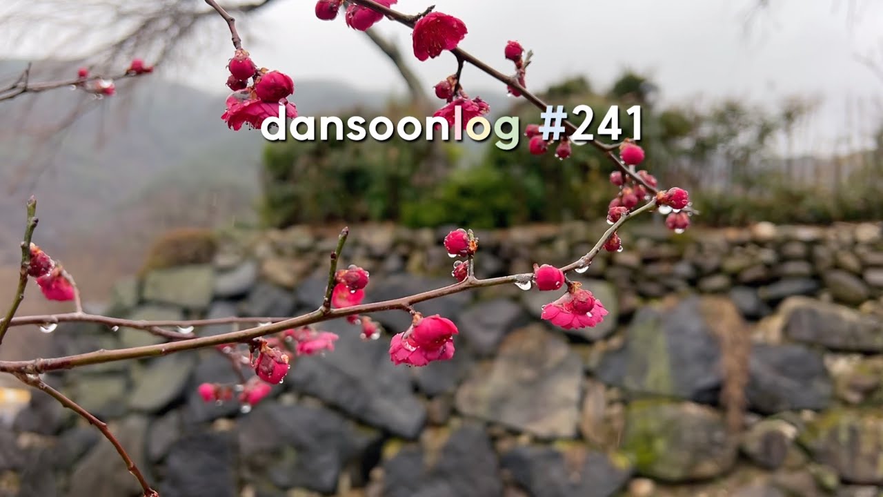 SUB 단순로그241 반복되는 하루를 잘 살아내는 시골 일상 vlog