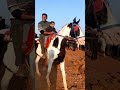 Horse Ride at Venna lake Mahabaleshwar #minivlog #mahabaleshwar #maharashtra #travel