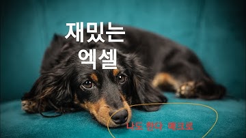 1재밌는 엑셀 (매크로 vba ) 셀 이란