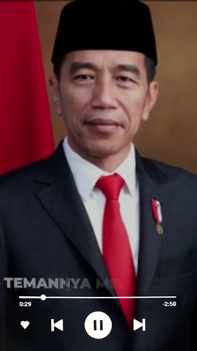 wi wi jokowi temen nya megawati🤗🤗