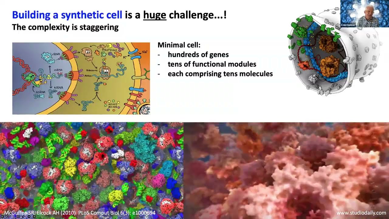 Build-a-Cell seminar Cees Dekker: EVOLF bottom up approach to building synthetic cell & our research