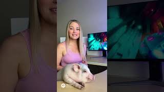 Alienware - AW2725D 27" QD-OLED QHD 280Hz .03ms FreeSync Premium Pro and G-SYNC Gaming Monitor with