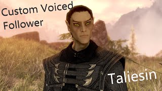 Skyrim - Custom Voice Thalmor Follower Teaser