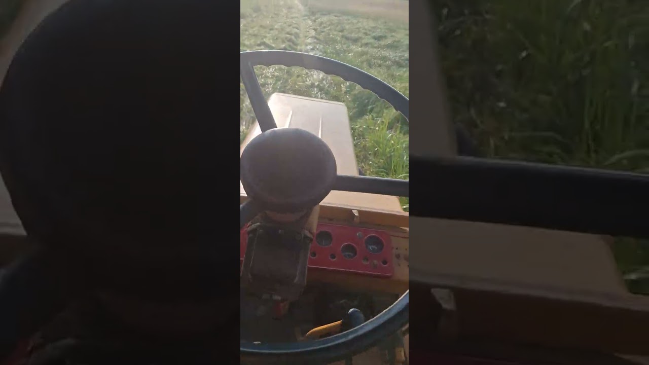 2023 m. T 25 Šienavimas