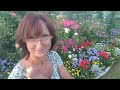 Видео привет с 6 соток 21 августа 2022 год .  Video greetings from the garden