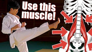 SECRET Muscle For Kicks... Only Taught In Japan Hidden Karate Principles