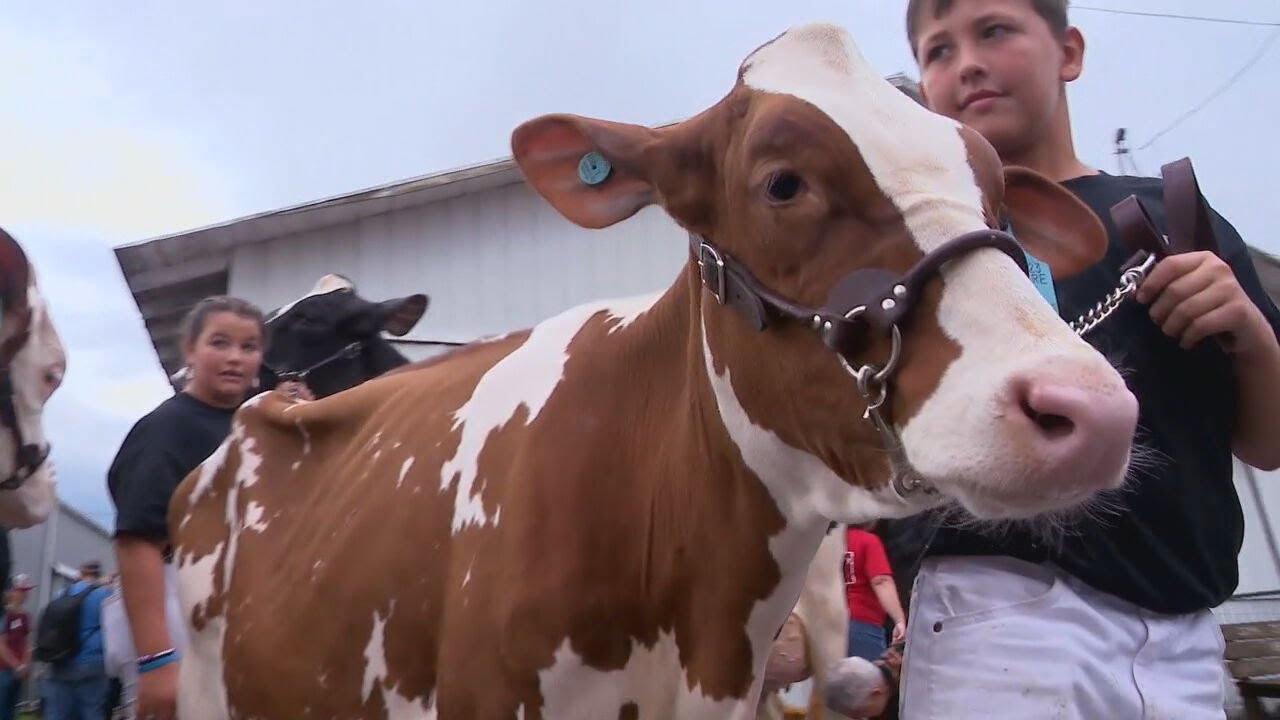 School is out for the 'Little State Fair' in Brown County