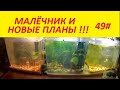 49# МАЛЁЧНИК И НОВЫЕ ПЛАНЫ!!!