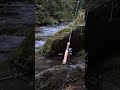 New Toy for rivers and streams #fishing #trout #river #nature #relax #pescuit #romania
