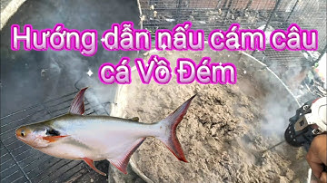 Hướng dẫn nấu cám câu cá vồ đém, dồ đém và đi test mồi.