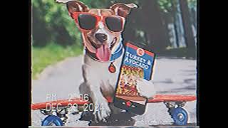 Vhs Vlog Washington State 2024