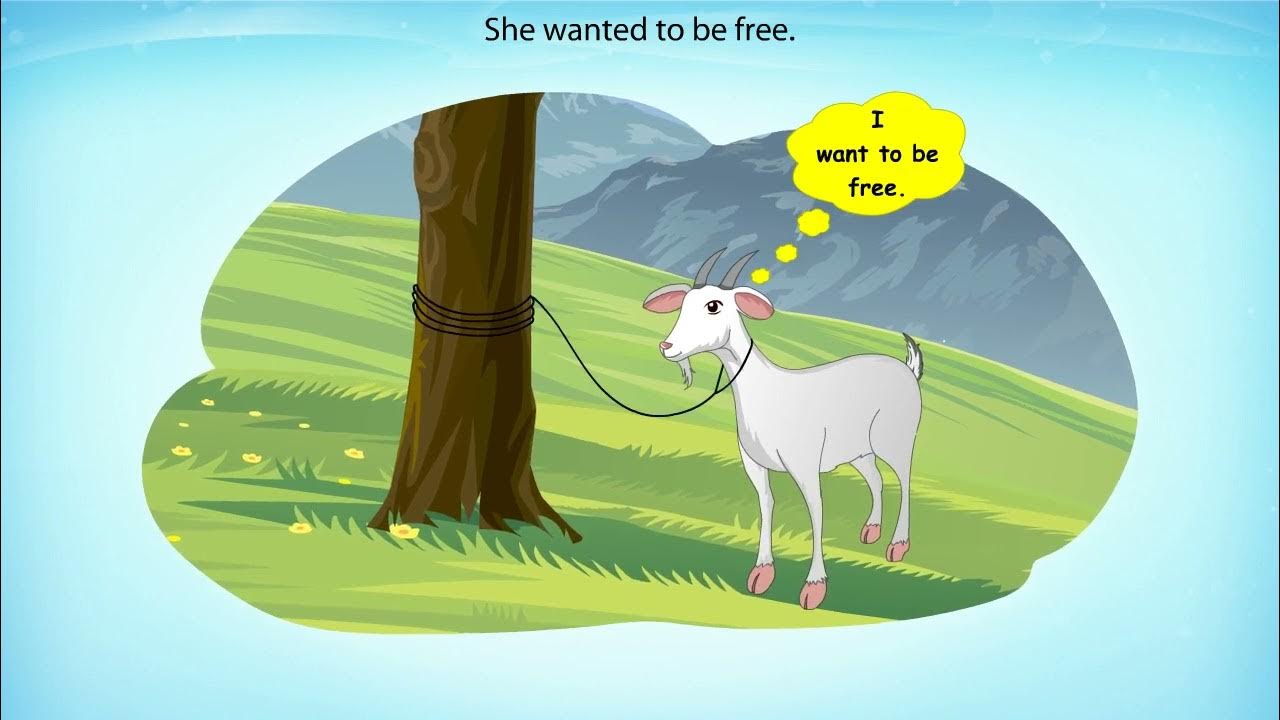 ncert-class-7-english-an-alien-hand-chapter-7-chandni-youtube